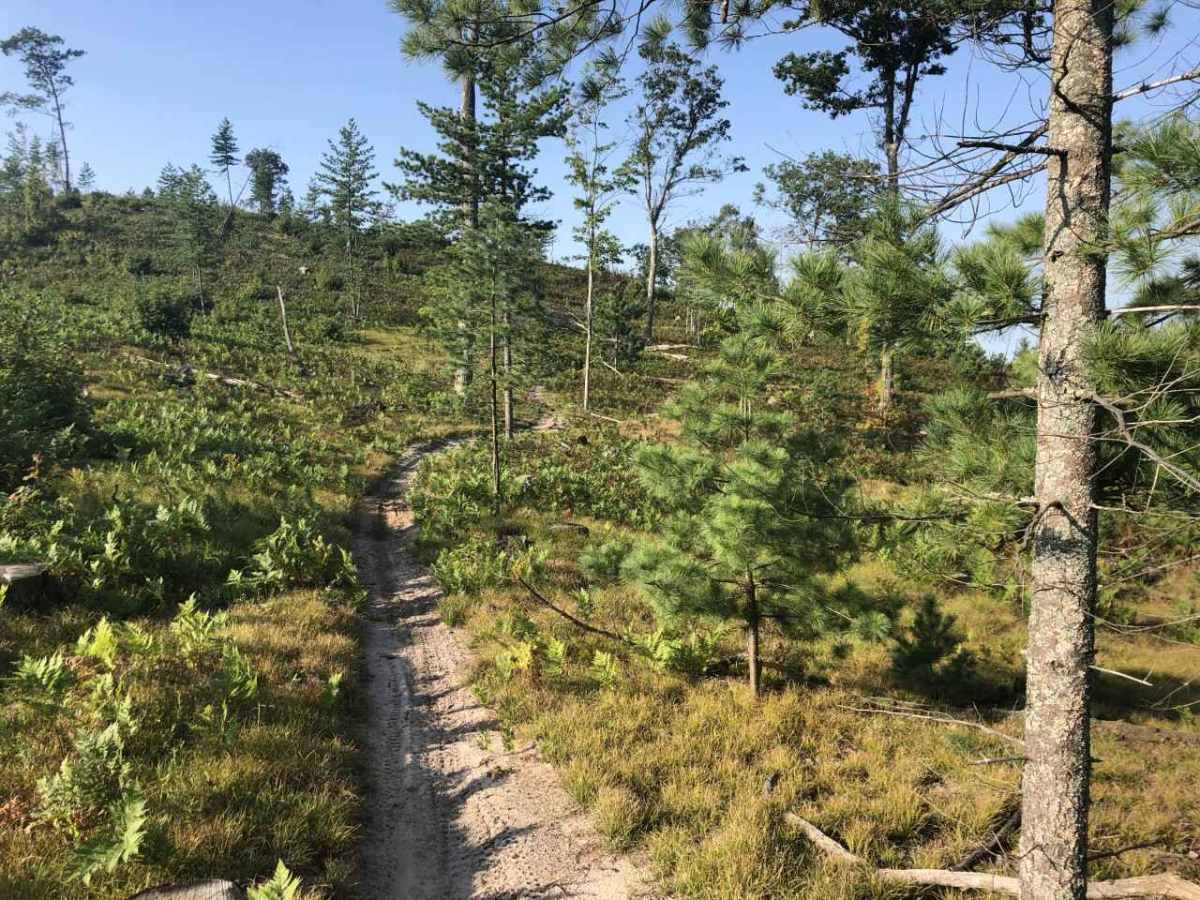 West Missaukee Trail Loop photo 5