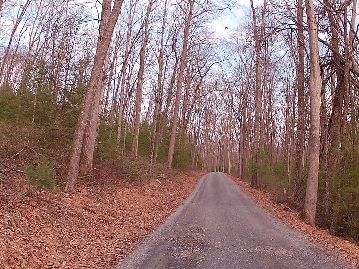 Stone Creek Road photo 5