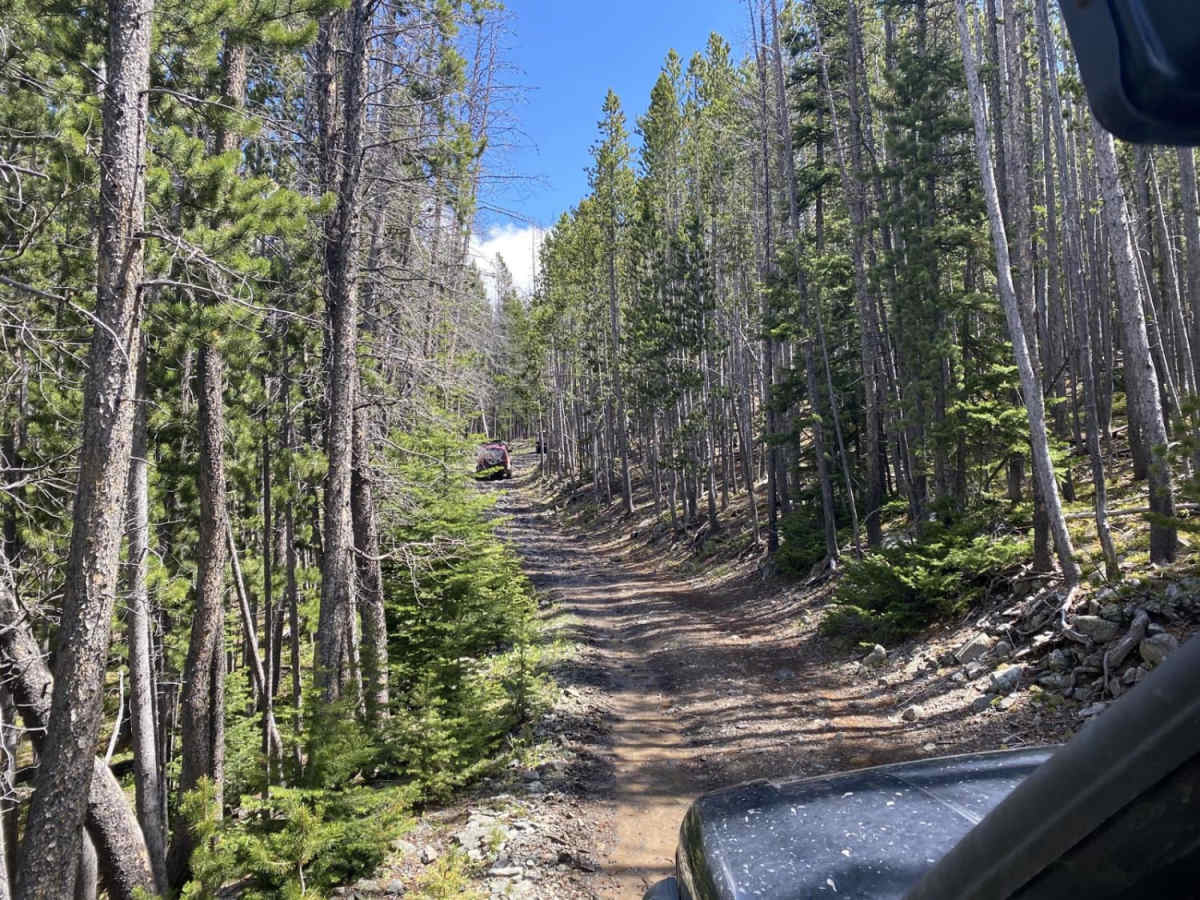 Skyline Mine Trail trail photo