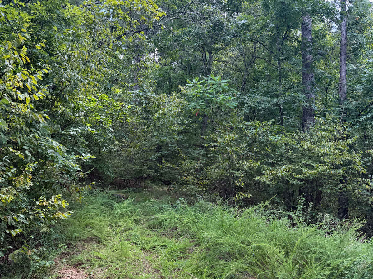Perry Creek photo 3