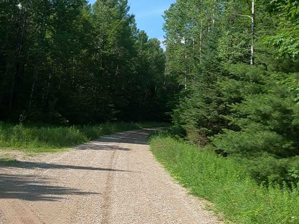 Ensign Road - FSR 2235 photo 2