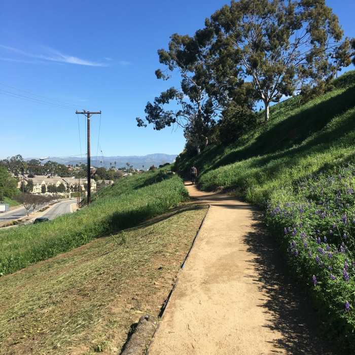 It's all downhill from the western start of Stocker Corridor Trail. Near Stocker Corridor Trail