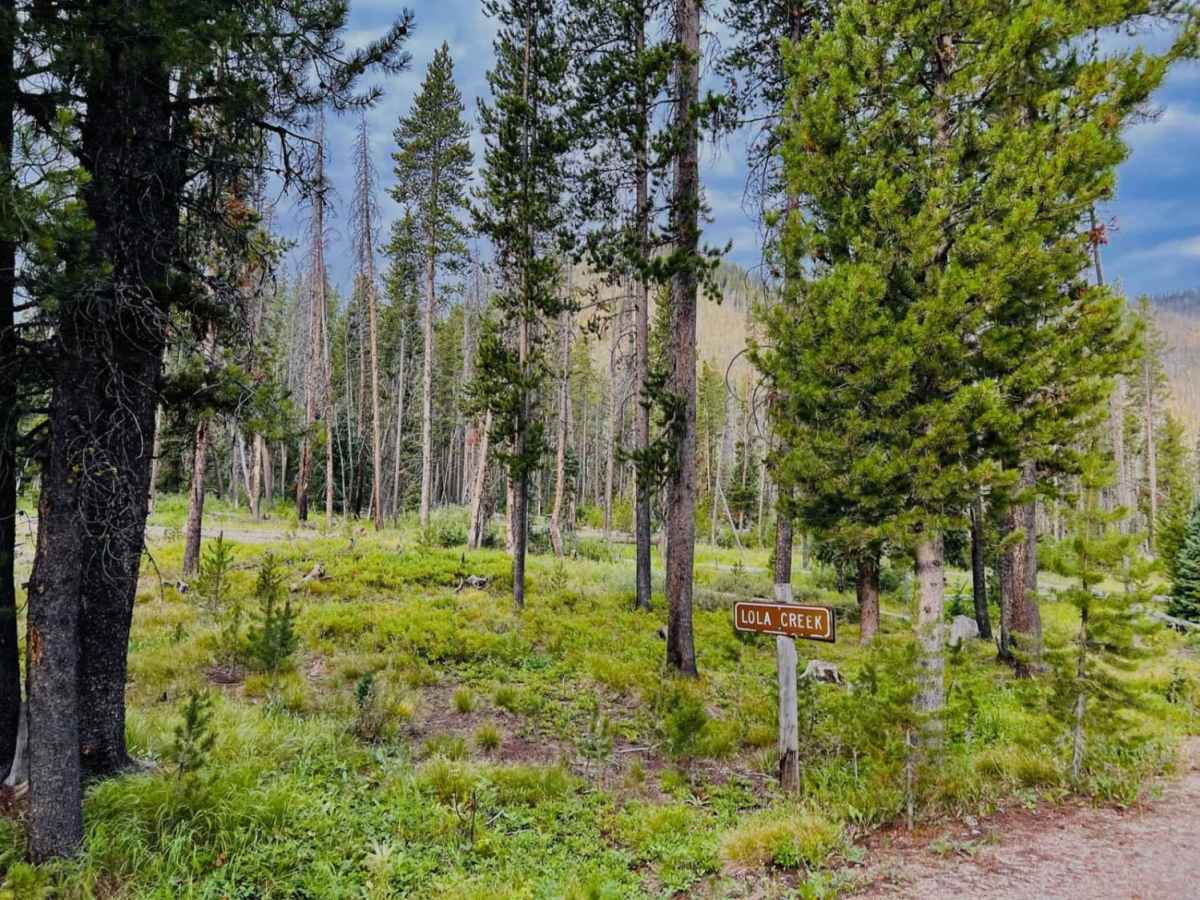 Lola Creek Trail photo 6