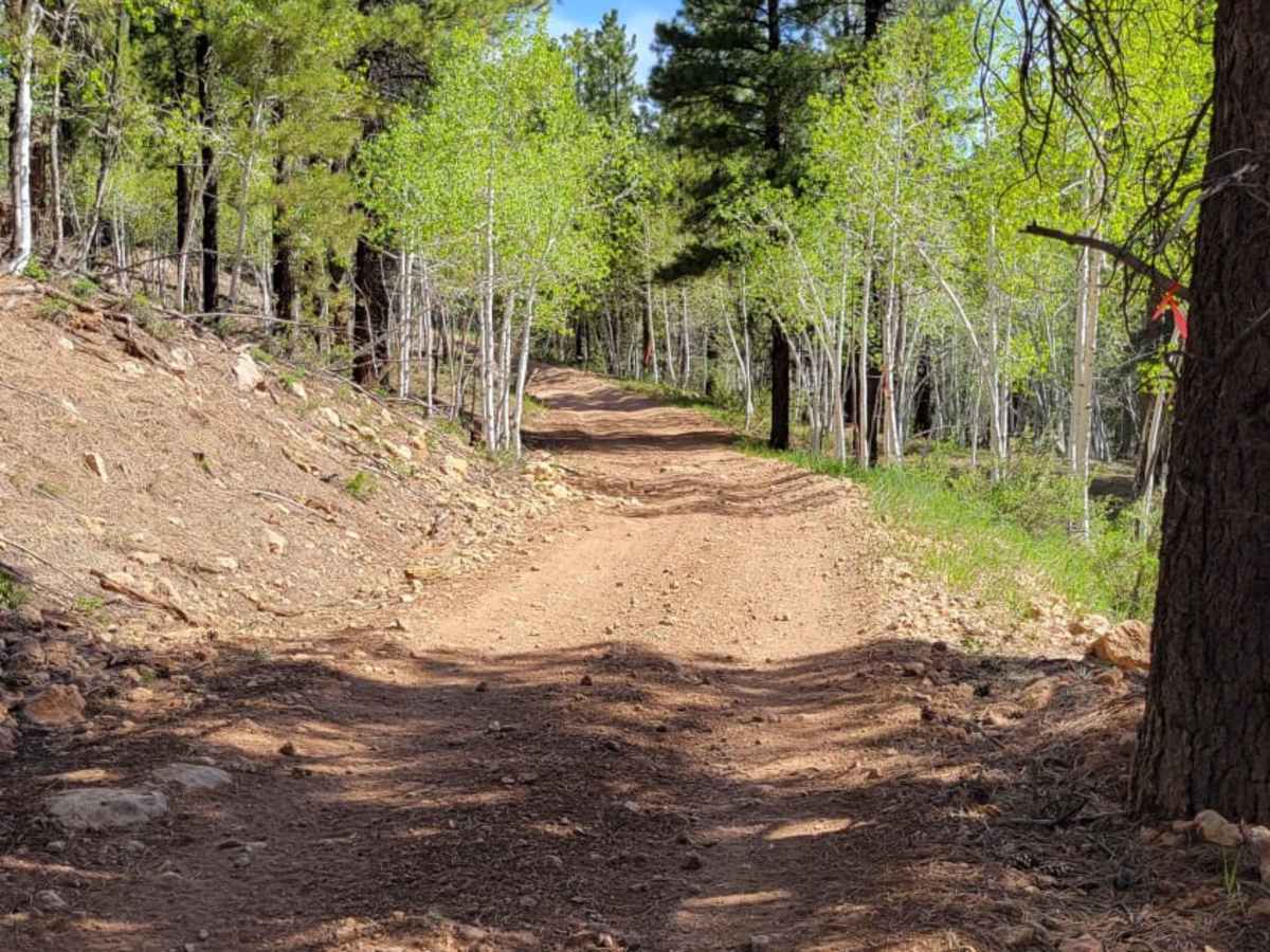 Tommy Creek Loop 1 photo 2