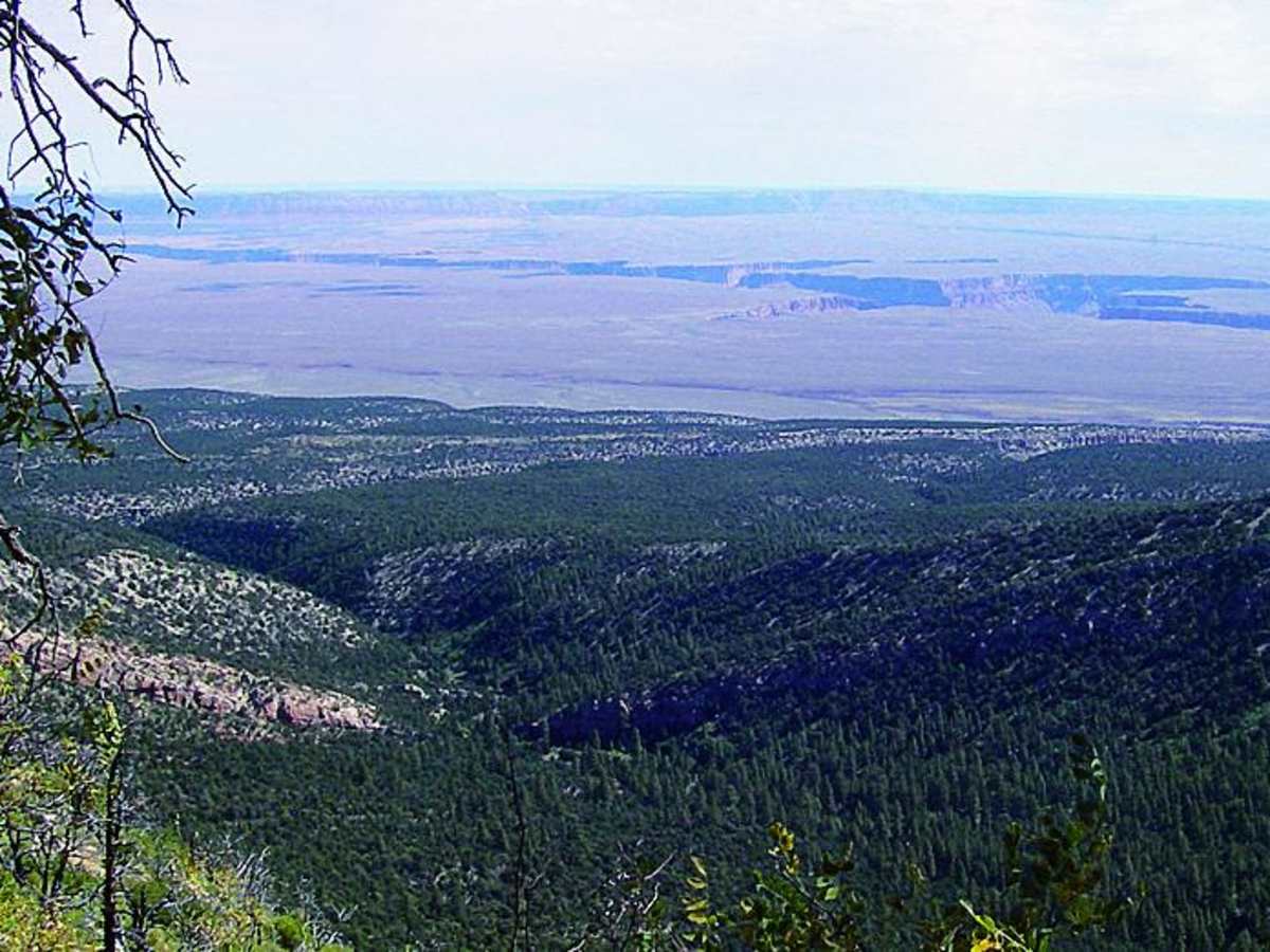 Tater Ridge photo 3