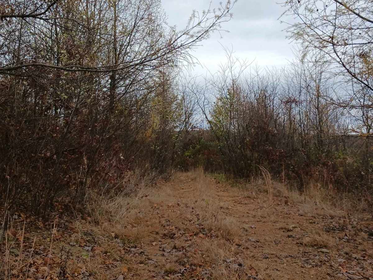 Trail 13B - Rock Run Recreation Area photo 3
