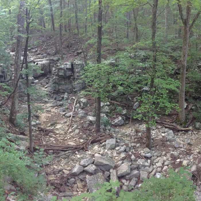 Near Old Railroad Bed to Alms House