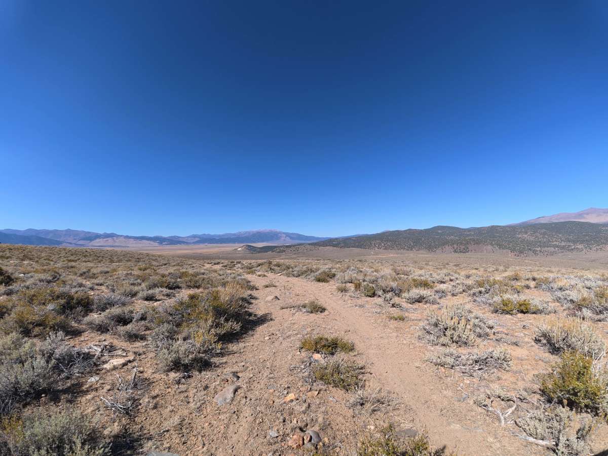 Dog Creek West photo 2