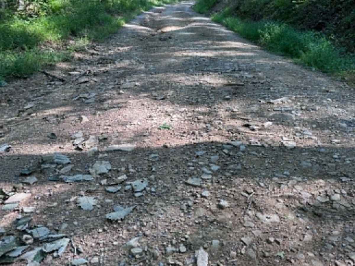 Younkers Bottom Road photo 5