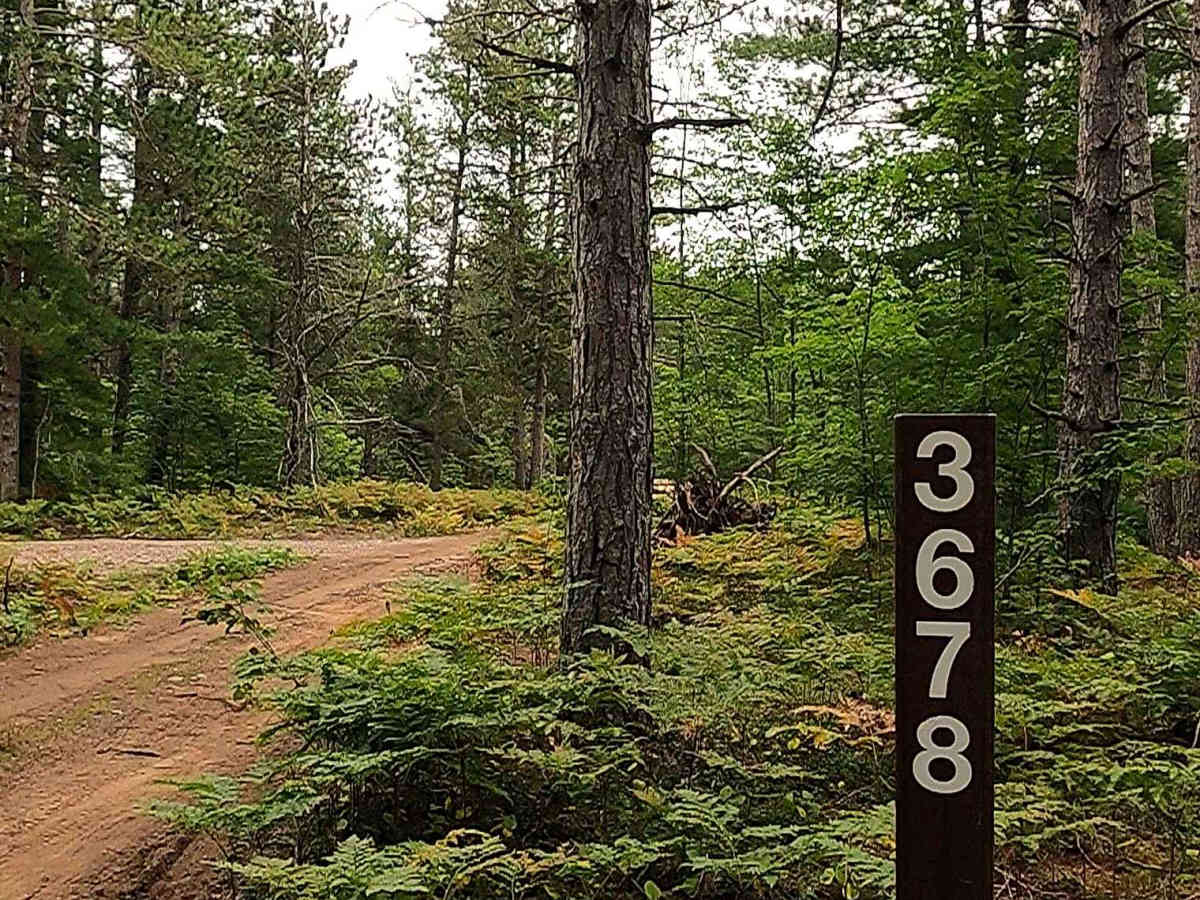 Indian - FS 3678 trail photo