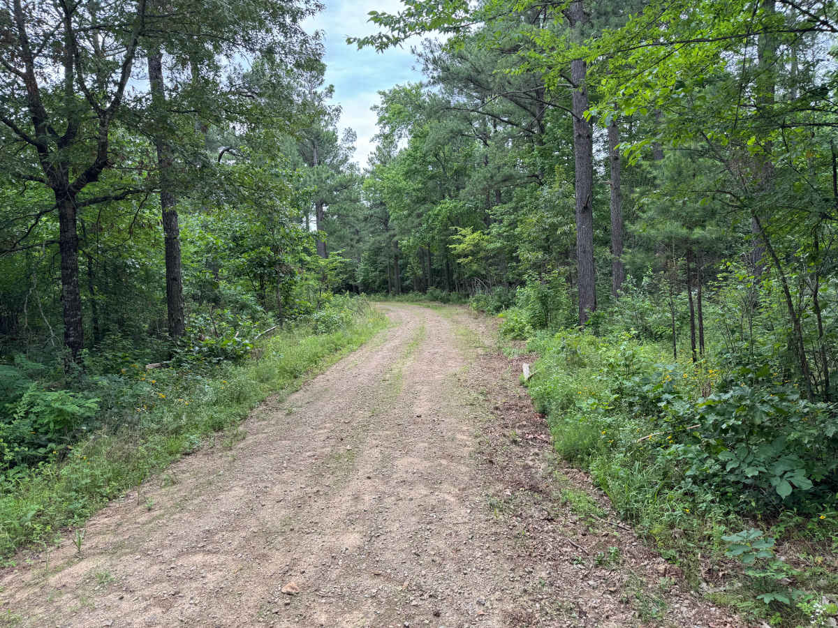 Big Flat/Butts Ridge photo 3