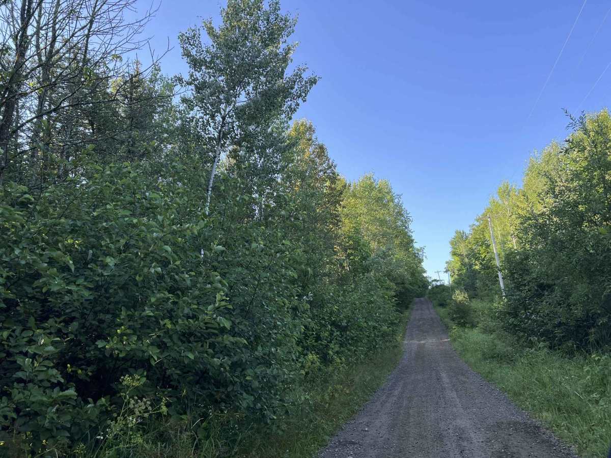Quinlan Spur Road - Florence County F5 trail photo