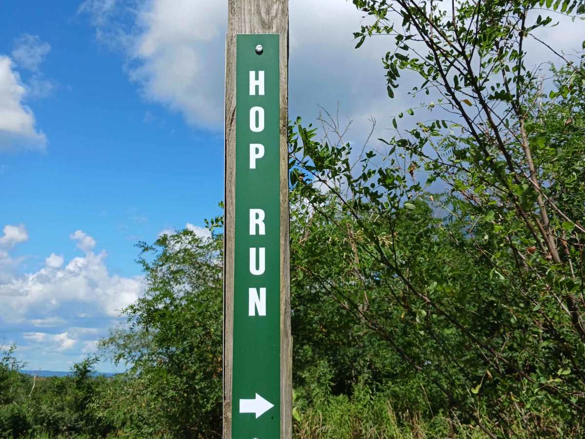 Hop Run - Rock Run Recreation Area trail photo