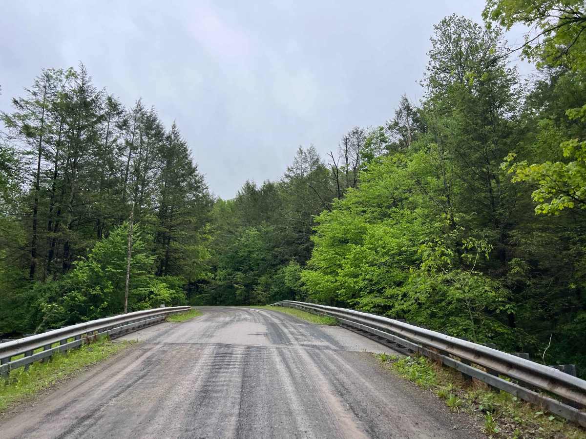 Ogdonia Road photo 6