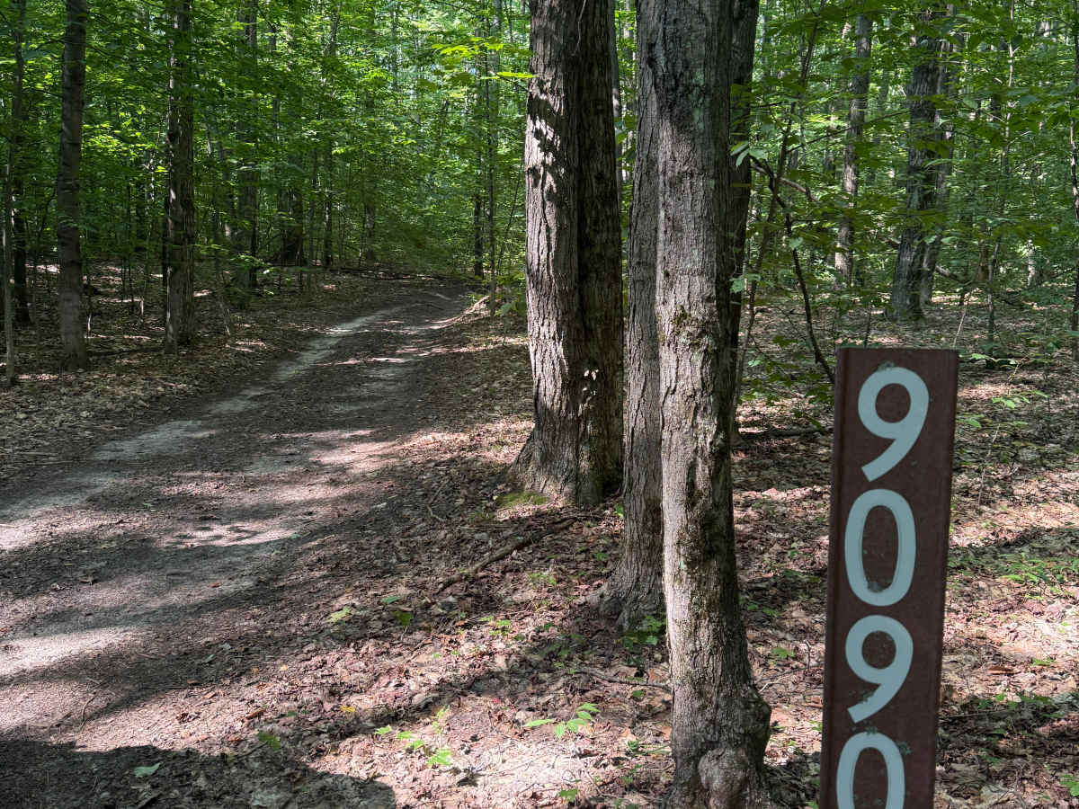 FS 5228 trail photo