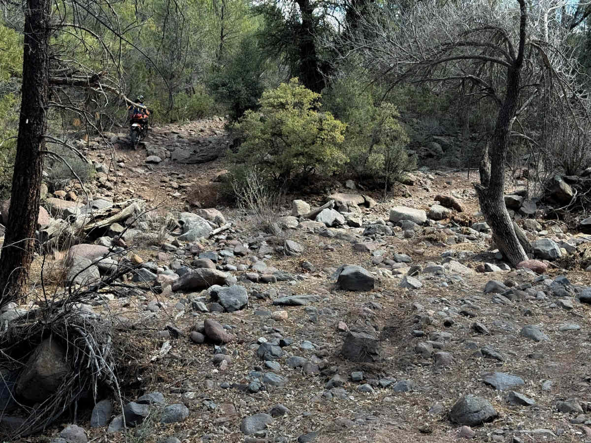 Coldwater Trail #21 (ATV) photo 3