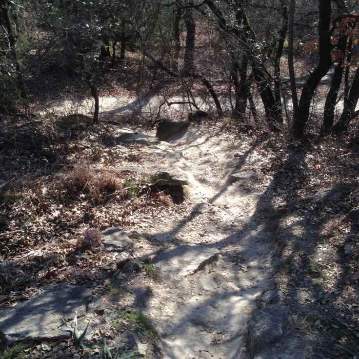 Near South Overlook Trail