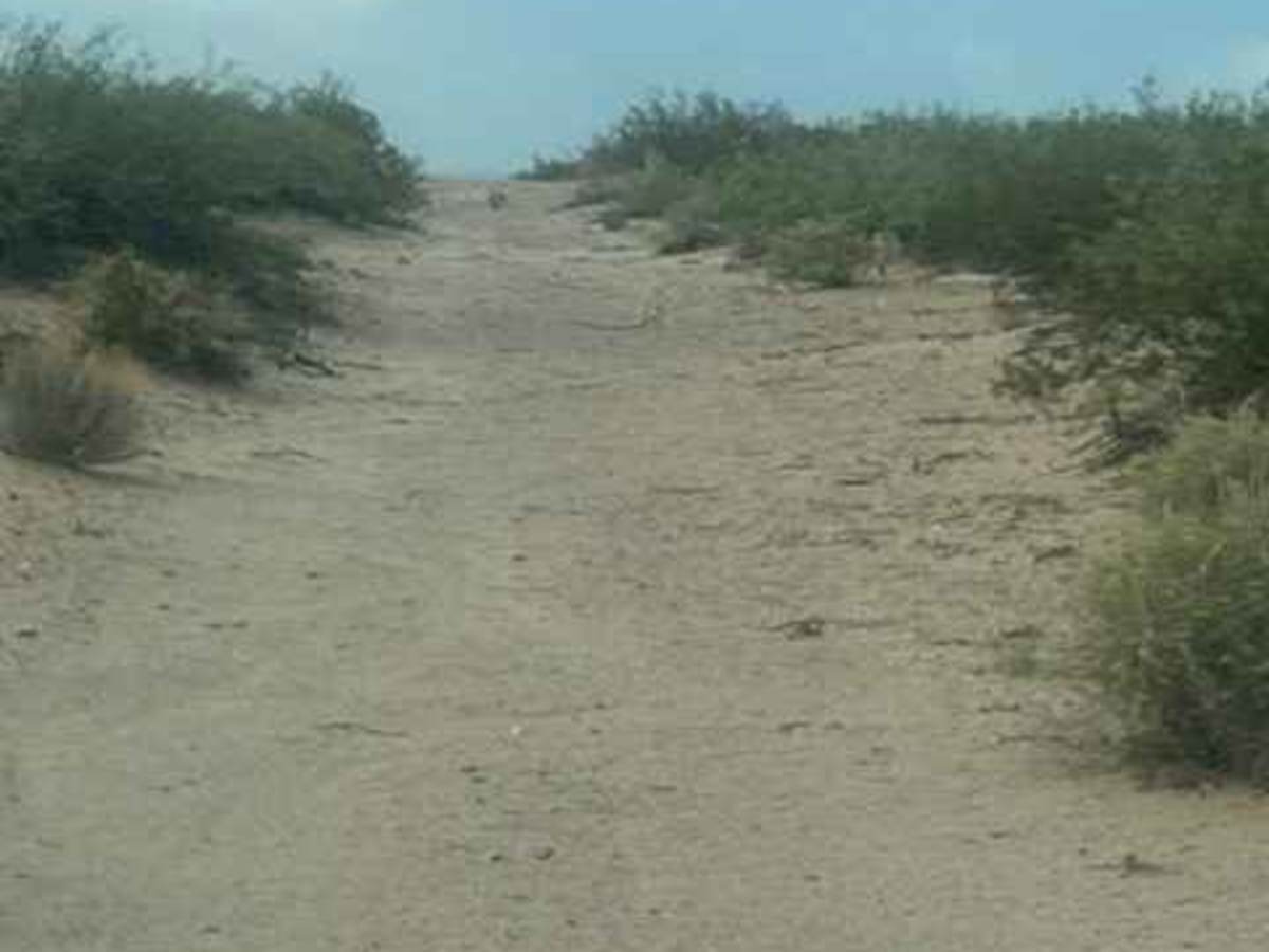 SS1130 trail photo