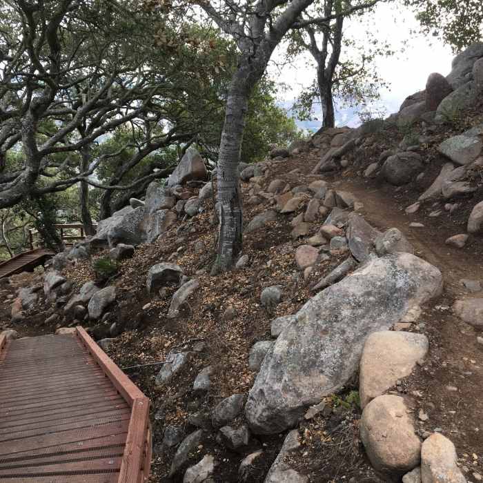 wooden path in difficult areas Near Lemon Grove Loop
