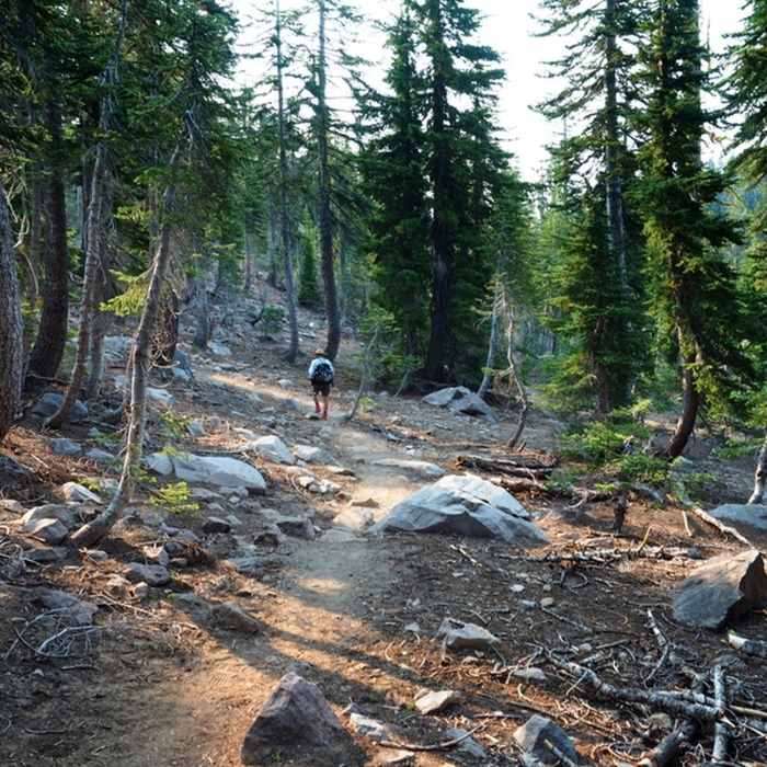 On the Panther Meadow Trail past the Gray Butte Trail junction. Near Gray Butte-The Gate Trail