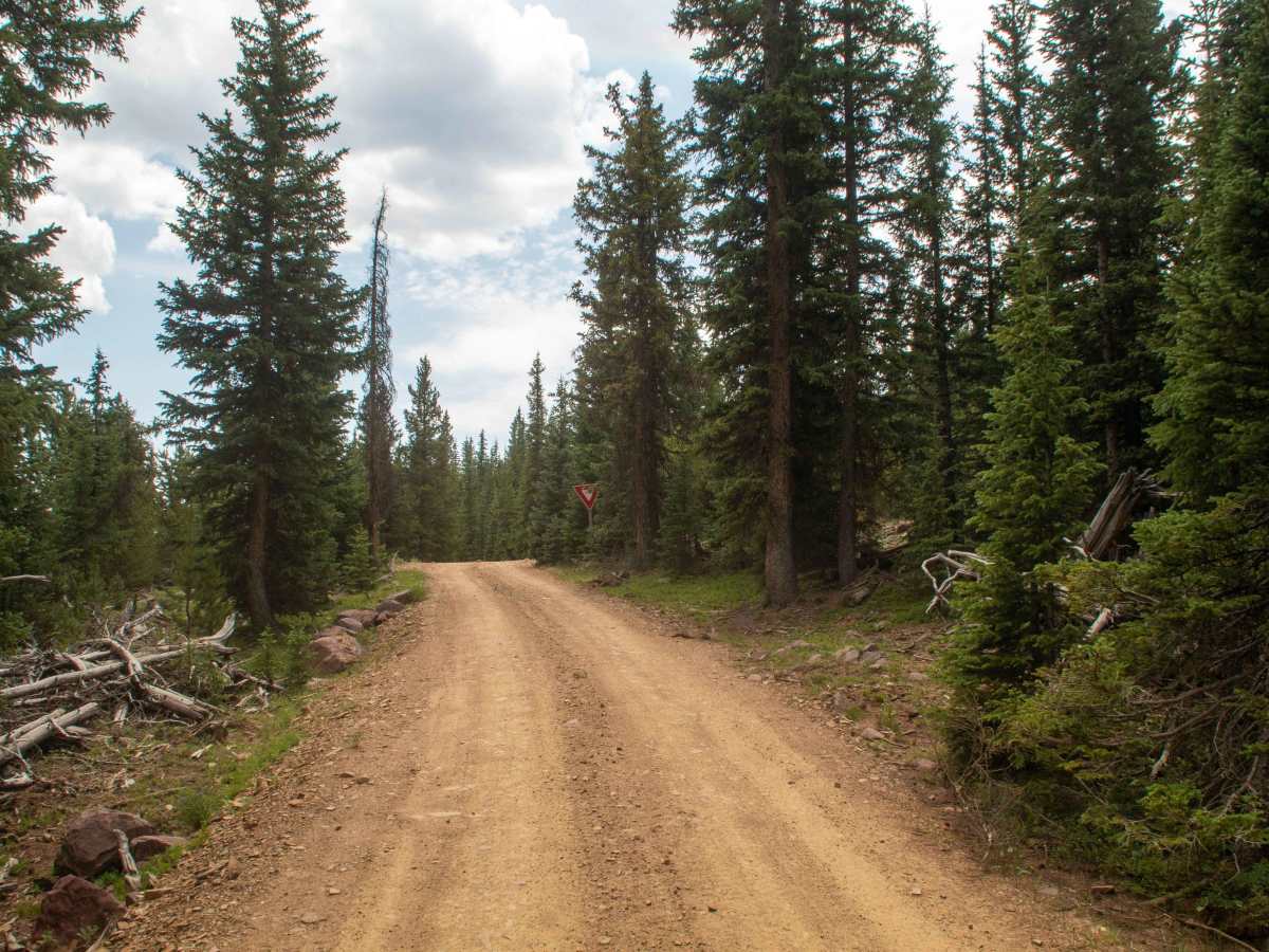 Paradise Park Reservoir Access - FS 10752 photo 6