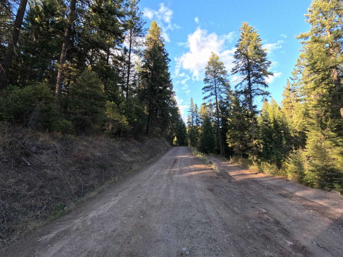 FS 1920 trail photo