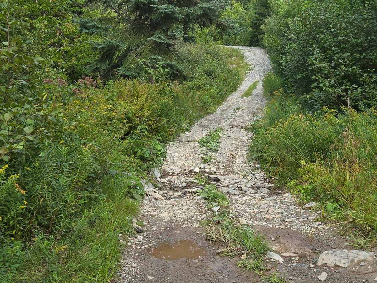 Rat Tail Brook Trail photo 2