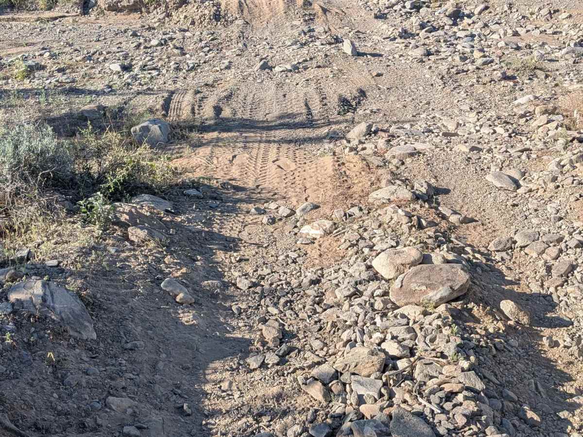 EC1253 photo 3