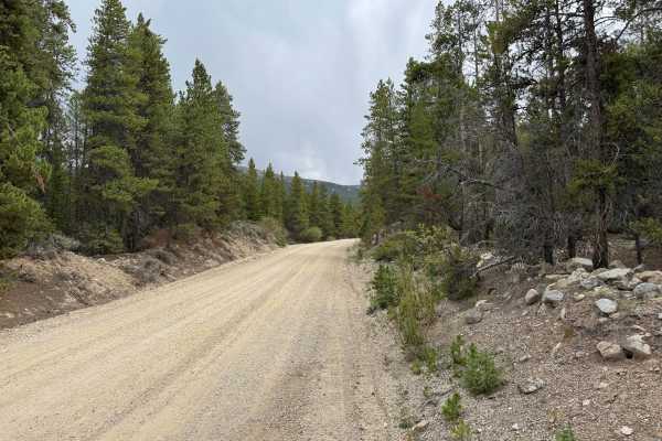 Lake County Road 3