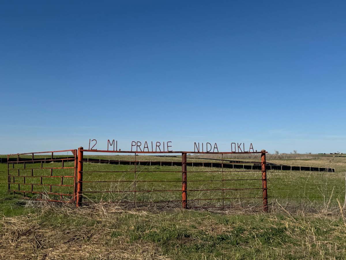 Twelve Mile Prairie Trail #1 trail photo