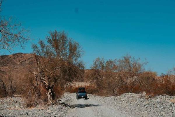 Bradshaw's Trail