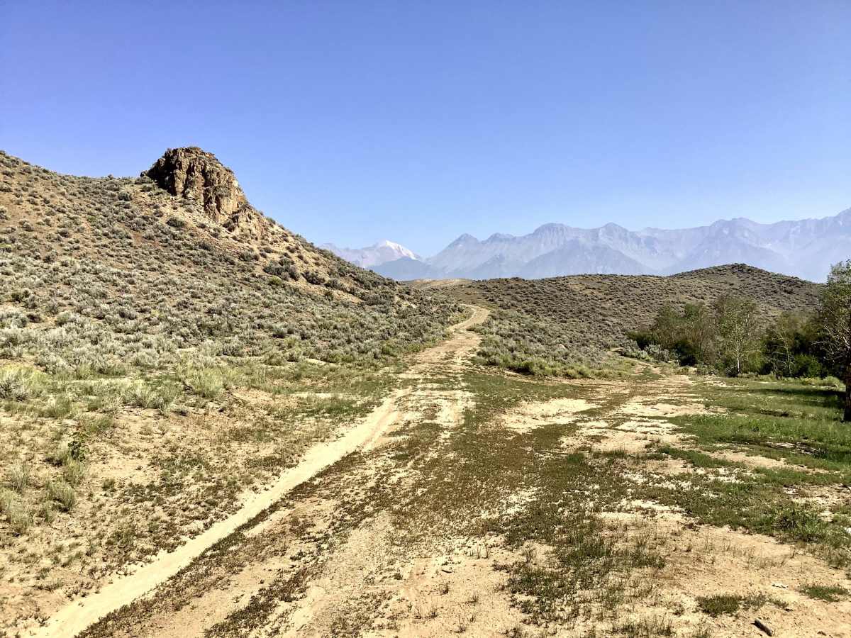 Navarre Creek West trail photo