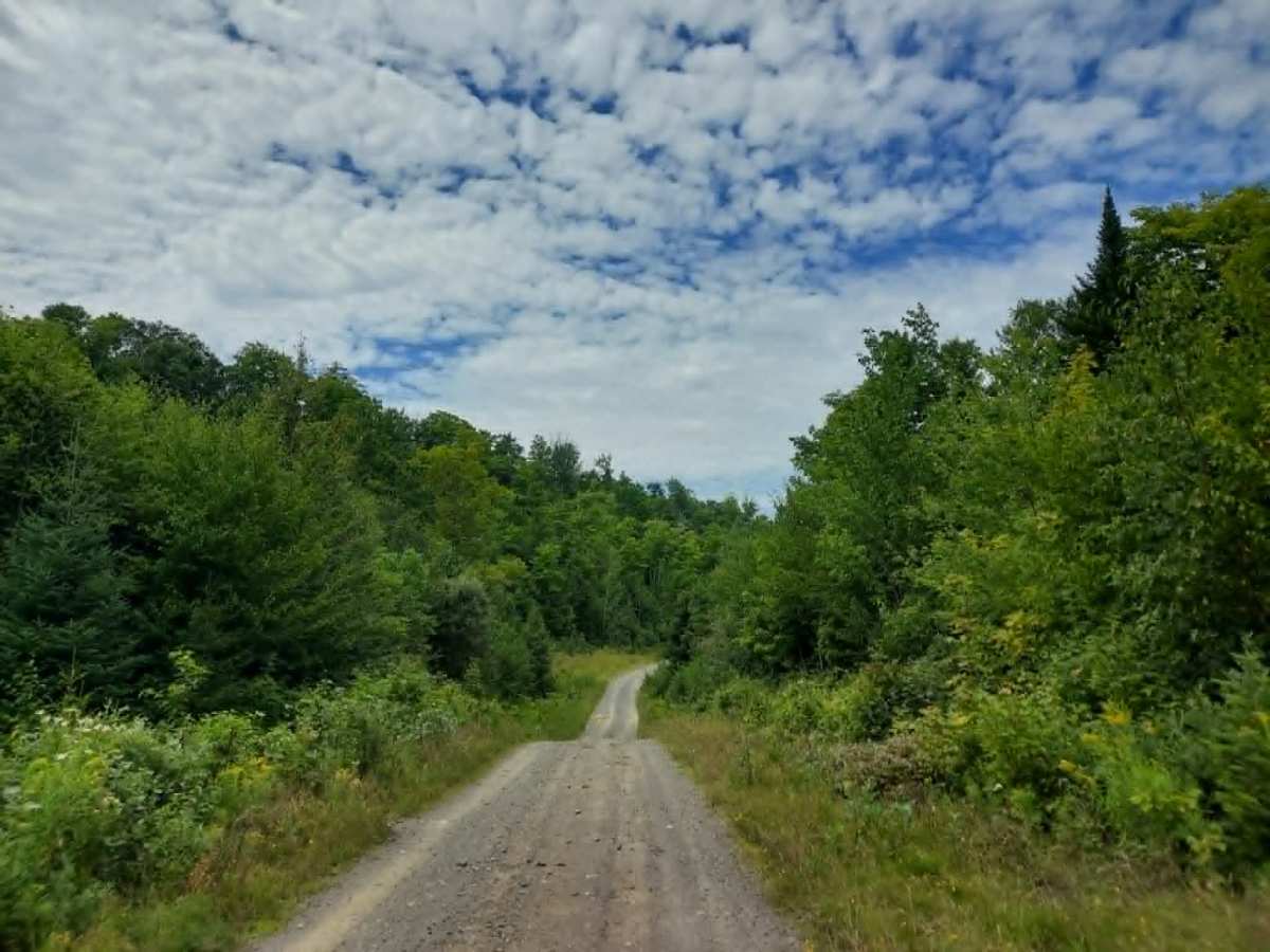 Link Trail photo 5