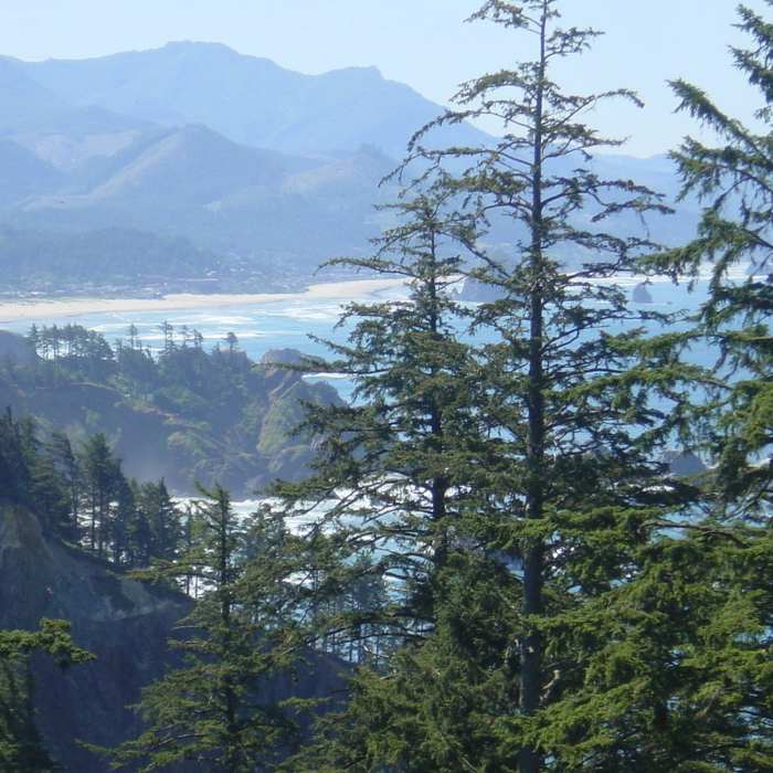 Near Clatsop Loop Trail