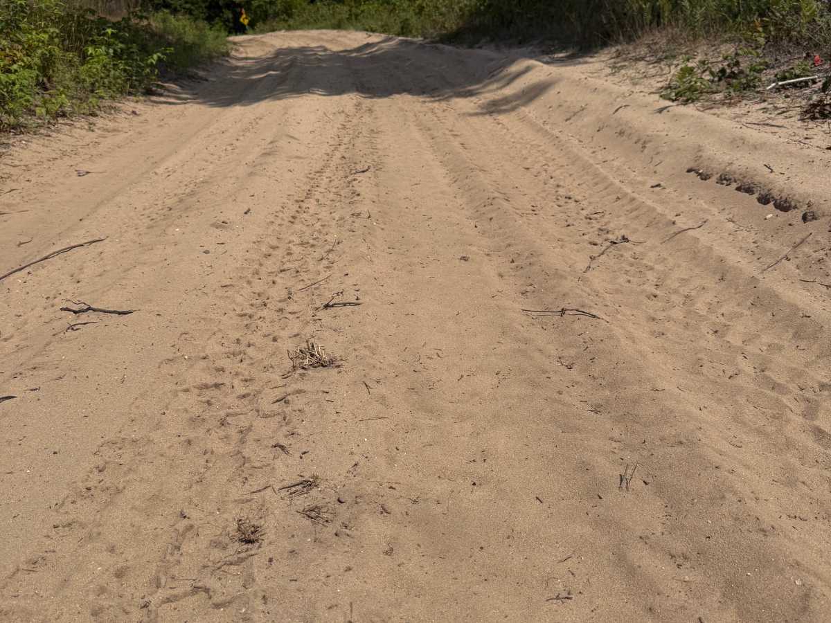 North Deer Trail photo 5