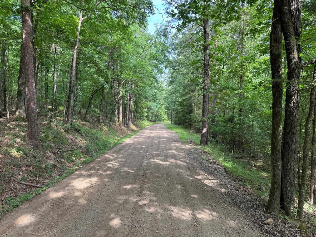 Minnow Creek Road - 3611 photo 5