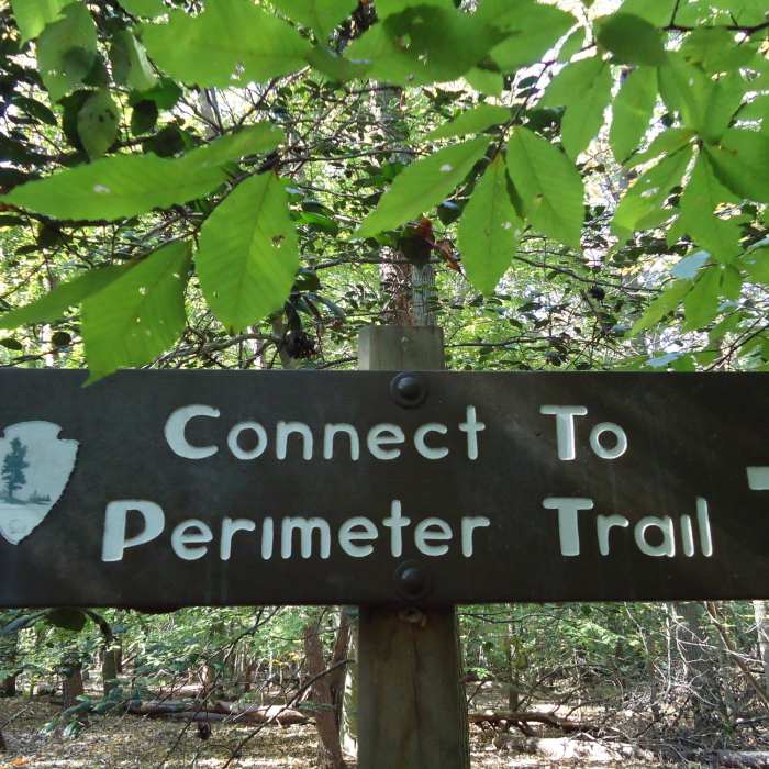 Near Perimeter Trail