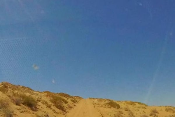 BLM 1010 to Blackburn Wash