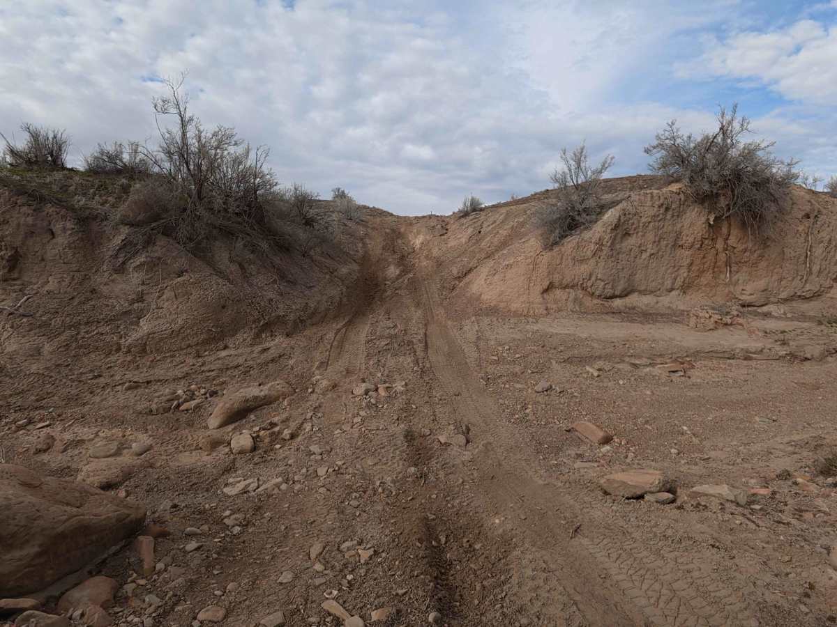 BLM 131 trail photo