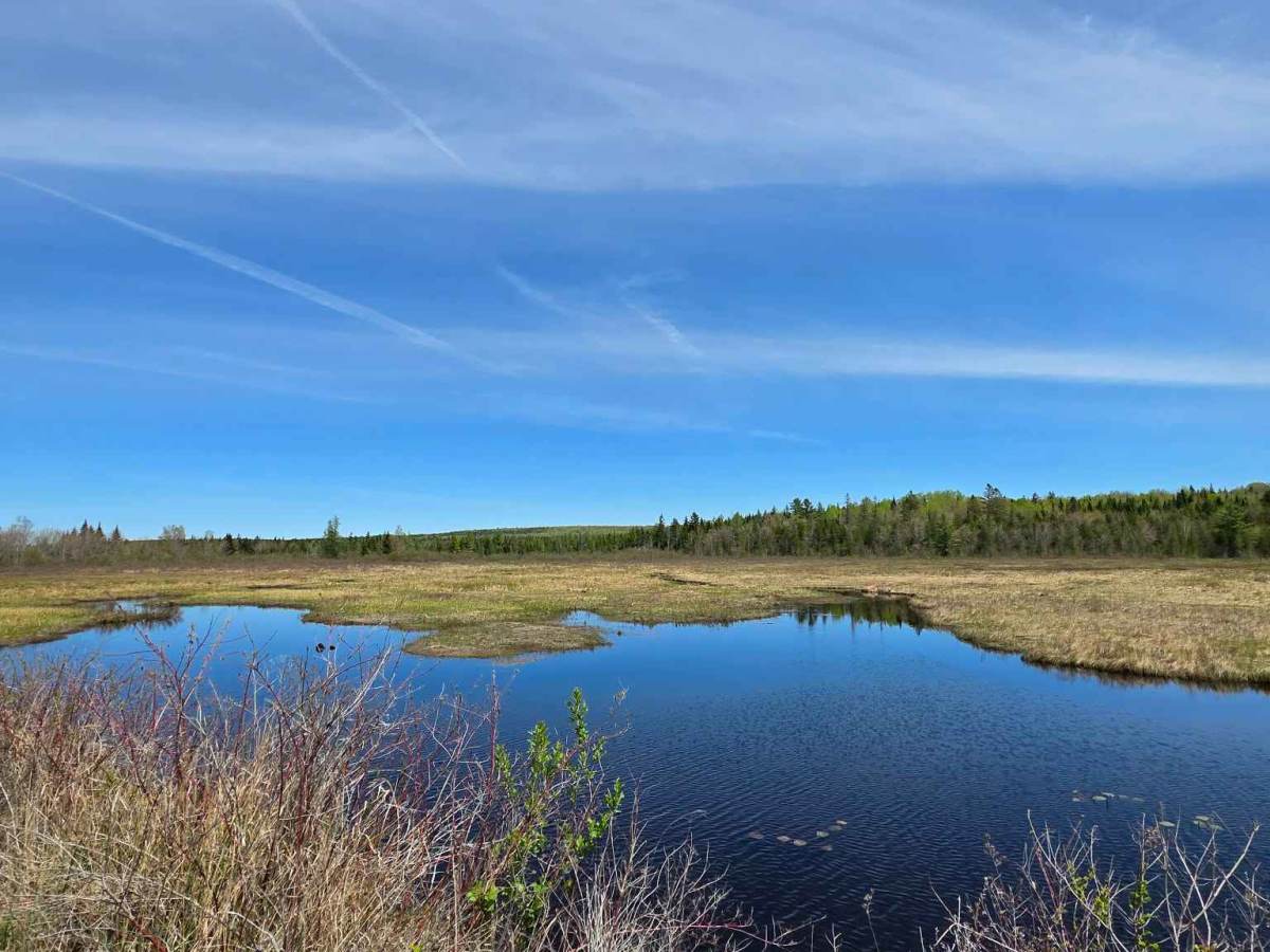 Moose Head Lake photo 3