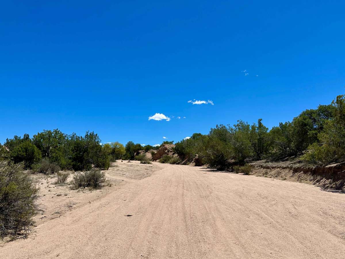 Sand Drag Strip photo 3