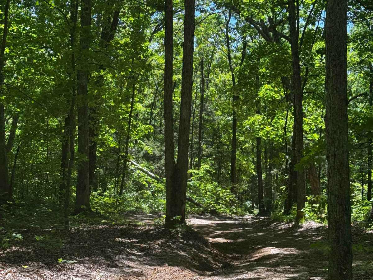 Quick Cut trail photo