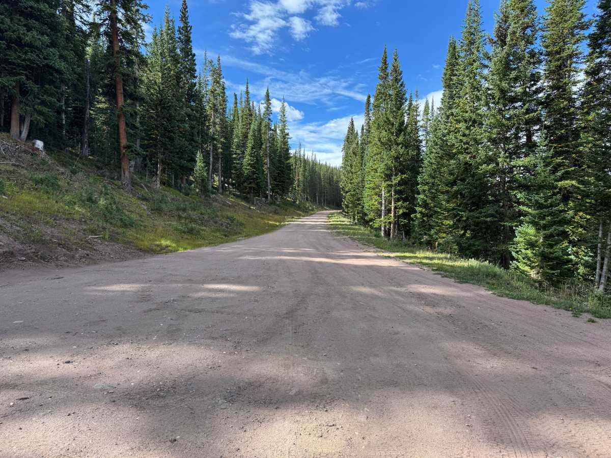Lime Creek Road photo 5
