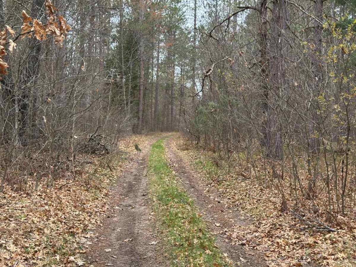Saunter Trail photo 4
