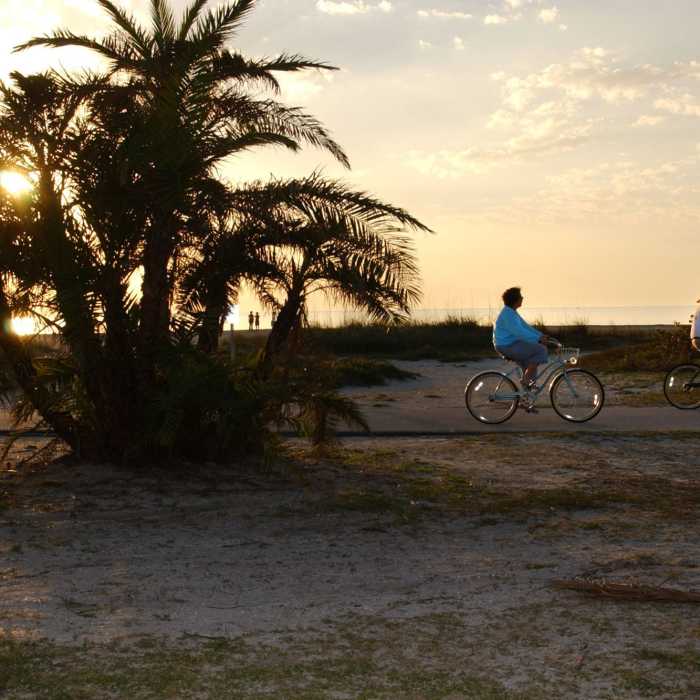 Fort De Soto Near Barrier-Free Nature Trail