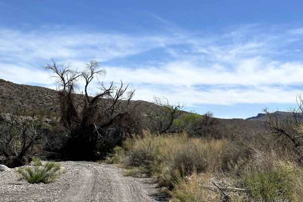 Smith Ranch Road