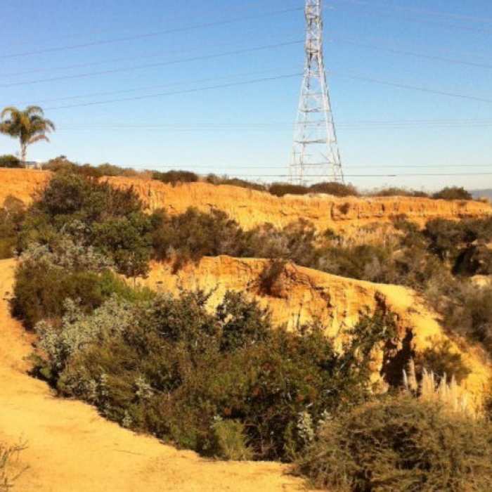 Near Aviara Oaks Loop