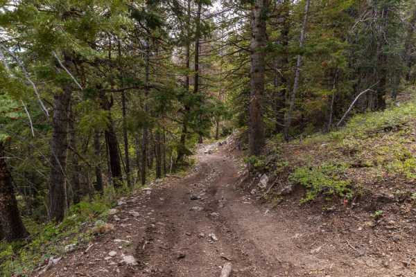 Beaver Creek - Mount Baldy