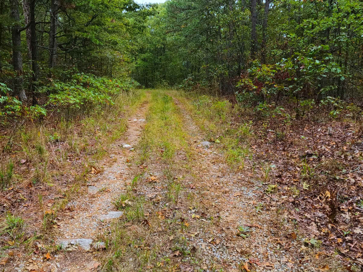 Womble Hollow - FS 2481 photo 6