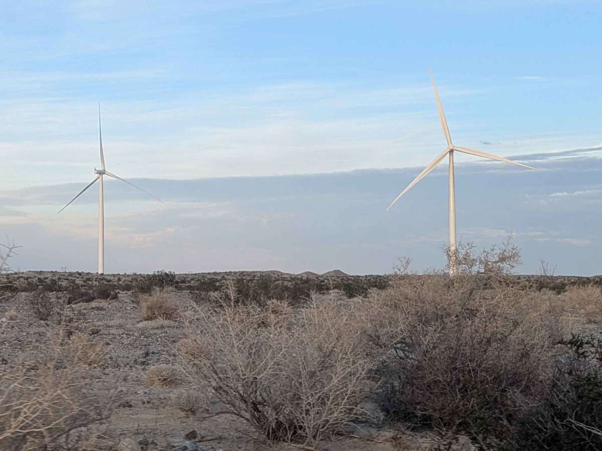 BLM 116 photo 6